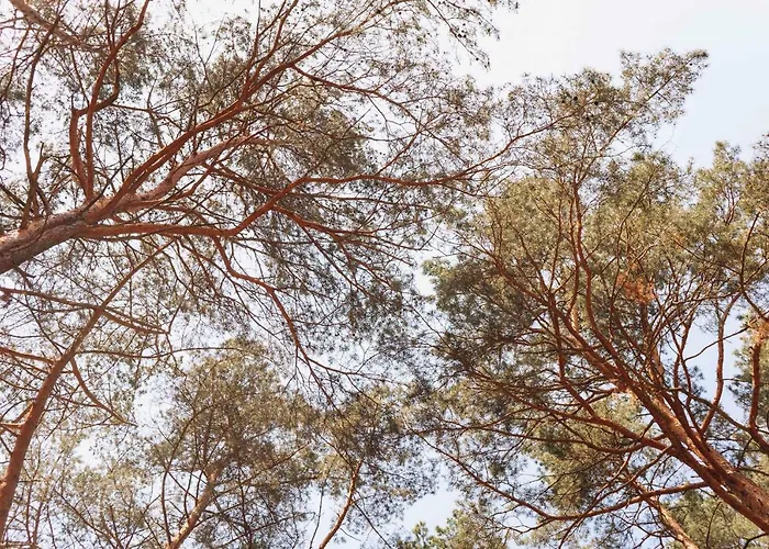 Kompleks wypoczynkowy Komandor